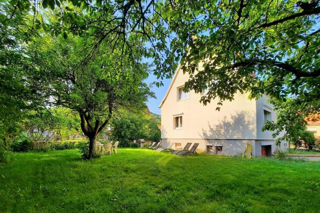 Rooms 4 Persons Kaysersberg Luaran gambar